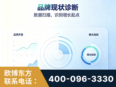 湘乡-品牌现状诊断