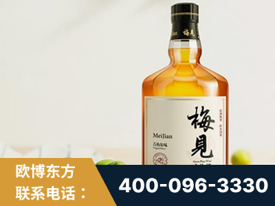 湘乡-梅见青梅酒